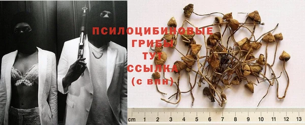 ECSTASY Волосово