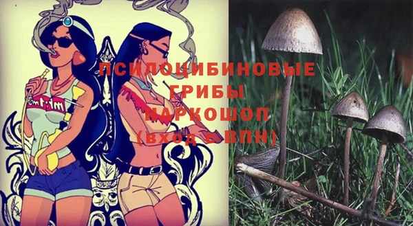 jwh Волоколамск