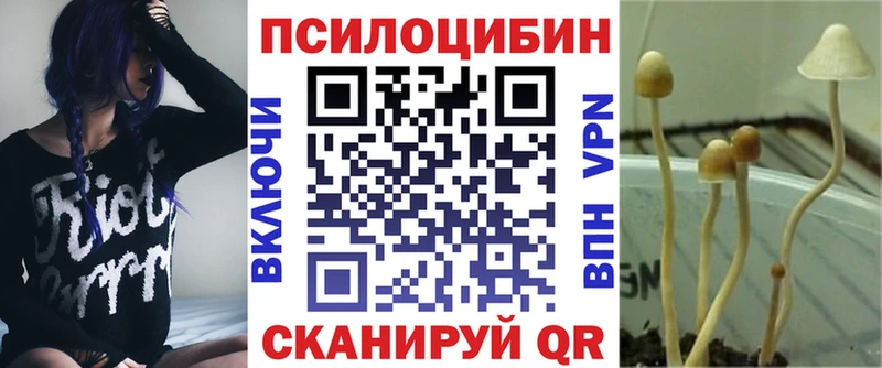 Купить Вязьма Галлюциногенные грибы Psilocybine cubensis