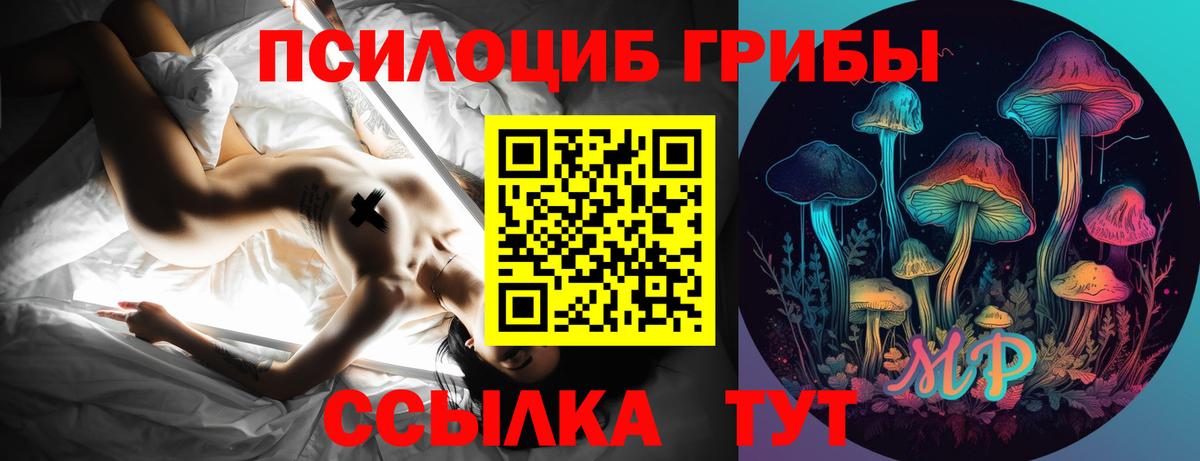Галлюциногенные грибы Psilocybe  Вязьма  Галлюциногенные грибы мицелий 