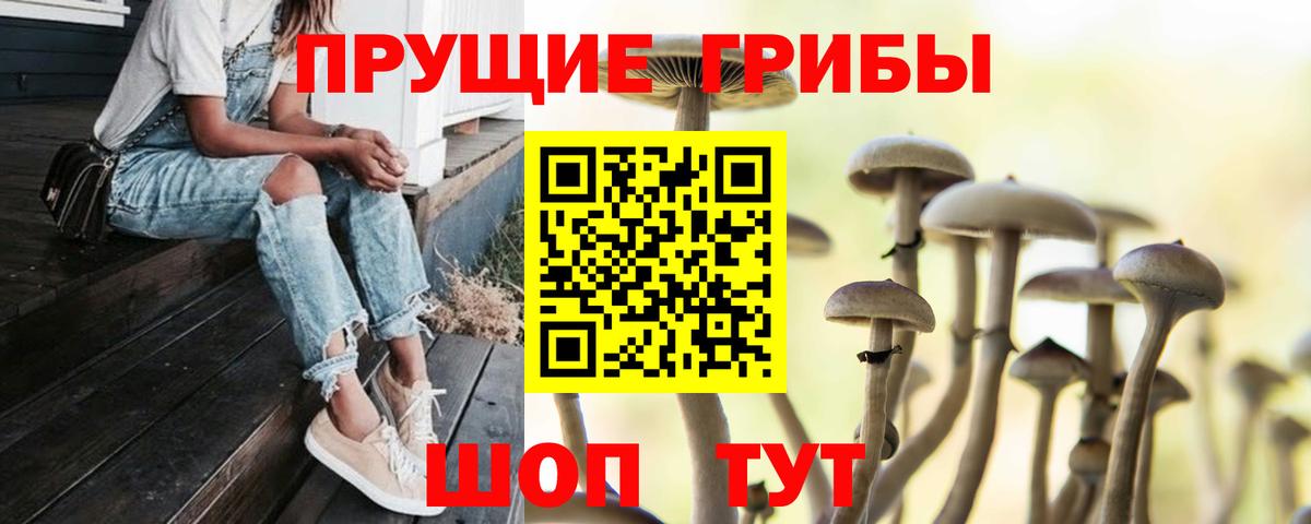 Псилоцибиновые грибы MAGIC MUSHROOMS Вязьма
